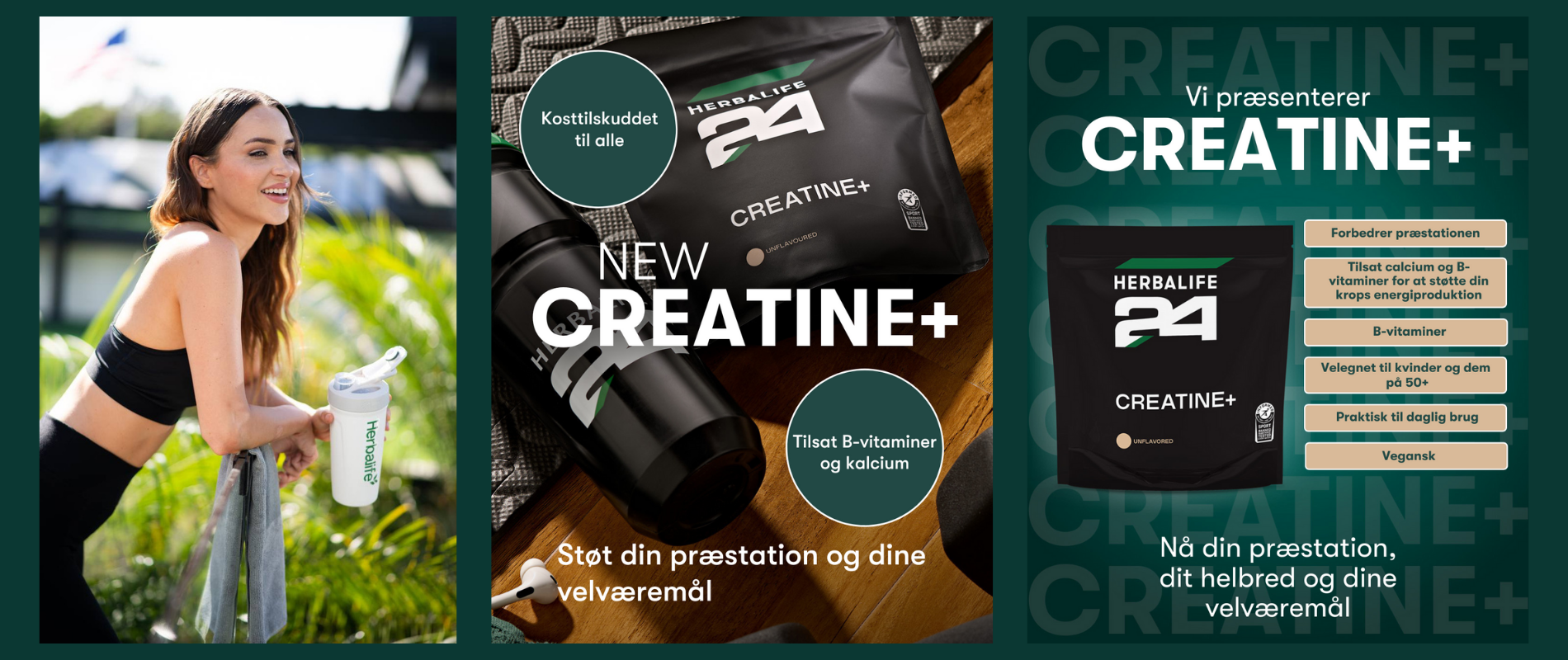 4 046dc29b 7c76 4fe4 bfc2 0bb6eaa504a8